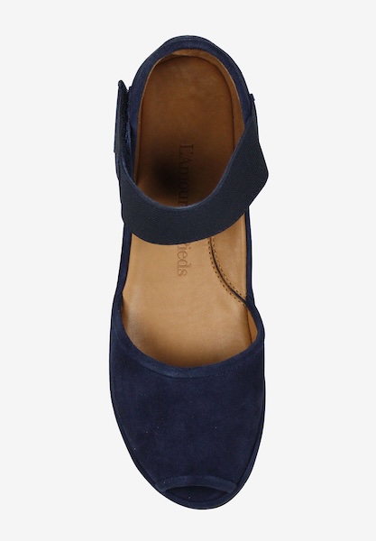 Top view of Amadour Navy Suede