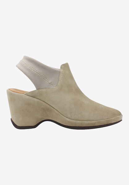 Right side view of Oniella 