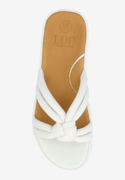 Top view of Veda WHITE LAMBA