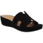 Front view of Catiana Black Suede